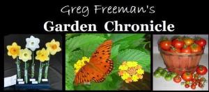 GregFreeman.garden  Home to Greg Freeman's Garden Chronicle & More!